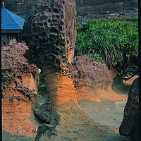 照片中的細頸蕈狀岩，可見其下方頸部已被侵蝕得很細，持續受侵蝕作用下，隨時有斷裂的危險。上方頭部可見一平整的切面，這是岩體本身的節理，另一側已被侵蝕後崩落。