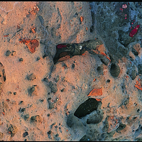 野柳的岩石受到海水的侵蝕，形成許多凹陷的洞穴。在周圍還可以看到因蒸發而形成鹽的結晶，以及氧化鐵附著於岩石之形貌。