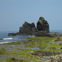將軍岩旁的巨大岩石群。同樣由火山集塊岩組成，岩石上可見安山岩質岩漿冷卻、收縮產生的裂隙。前方為珊瑚礁堆積而成的珊瑚礁海岸，表面有藻類生長。
