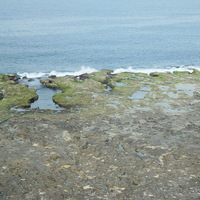 	


海岸受到海水的侵蝕作用，在岩體較脆弱的部分可能被侵蝕出裂隙，並且逐漸擴大。另外，海岸地帶的凹下處可見到海水堆積其中，在海水鹽分結晶後，會對岩體施加壓力，造成凹洞進一步擴大，稱為鹽結晶作用，是風化作用的一種。
