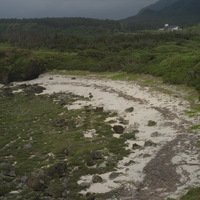 火山岩岬角圍繞而成的灣澳地形。接近海水的位置，海浪能量較強，因此由海水侵蝕海岸產生的細小沙粒無法停留，多被搬運至後方地勢隆起處堆積。海岸前緣多為大顆粒的岩塊，並有藻類附著。沙粒堆積區的後方地形較穩定，因此地表較容易化育形成土壤層，因而有木本植物生長。
