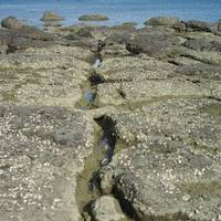 位於東吉嶼的東側海灘，玄武岩礫岩膠結的岩層中含有大量貝類的化石，代表原本沉積在海底的玄武岩集塊岩被抬升至地表。這些貝類化石與玄武岩膠結的岩層，佈滿整個海蝕平台上，此類岩石稱為灘岩，而其中大量膠結的貝類化石顯示此地的生態非常豐富。