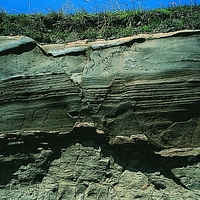 澎湖七美到處可見出露的岩層，一層層疊置的岩層，代表不同時帶有不同的地質事件與環境。此外，照片顯示岩層間有數個斷裂面，切穿過照片中央的岩層。