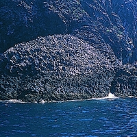 在靠近海水面的玄武岩，長期受到海水的侵蝕與拍打，岩石隨節理崩落，因此露出上方的五角形或六角行節理外觀，以及側面的柱狀節理，其岩石的顏色是較為新鮮的黑色。此外，在海水較無法接觸的高處，玄武岩則呈現被風化的灰色外觀。