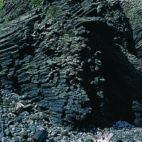 澎湖七美月鯉灣的輻射狀柱狀節理，為七美重要的地景，其特殊性被受許多專家學者肯定。