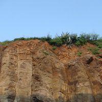 玄武岩柱狀節理景觀。在玄武岩出露地表後，慢慢風化形成土壤。本照片說明了土壤剖面中，土壤厚度並不厚，主要還是受到土壤沖蝕影響。