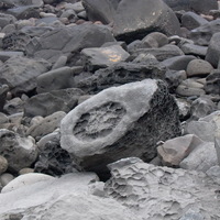 桶盤嶼的貓公石。堅硬的石質上遍佈海蝕粗孔，其蜂窩狀的孔洞，多由鹽的風化所造成。