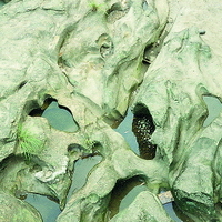 基隆河上游大華的壺穴。大華的壺穴分佈於基隆河大華河段的兩岸。河水在此段刻蝕出大小不同、形式多樣的壺穴，為台灣地區極有特色的景觀。