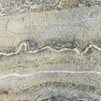 花岡片麻岩中，入侵的小規模石英岩脈。由於入侵的規模小，使得岩脈受擠壓時必須沿著基岩的裂隙流動，形成了特殊的景觀彎曲的現象。
