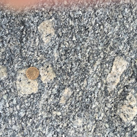 片麻岩中的長石斑晶，岩石在形成的過程中，經過長時間的慢慢冷卻，因此有機會聚集成較大的結晶體。照片中利用一元硬幣做比例尺，來比對礦物結晶的大小。