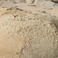 堅硬的花岡岩巨石長期受到海浪拍打和侵蝕，在表面形成大小不等的凹穴，長期作用下，有些凹穴被侵蝕連通，有時亦成為天然的步道階梯。此岩石表面變成了差異侵蝕的代表。