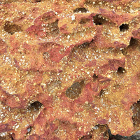 貓公石生成來源調查，據信是古九龍江河道沈積物堆疊而成。因此在貓公石內，仍可見到在河道內共同堆積時的礫石顆粒，也是說明貓公石成因的重要證據。