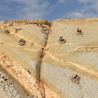在金門東側的花岡片麻岩海岸中，常可見到岩層內夾雜著火成岩侵入岩脈。照片中顏色較深的為花岡片麻岩，白色則為侵入的花岡岩脈，在灰色的岩體上交織出美麗的圖案。