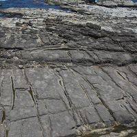 在海蝕平台上可以看到排列整齊的線型構造，這些線型構造就是岩石的節理，常常形成平行的排列，若海水持續沿著節理面侵蝕，就會發育成海蝕溝的地形，這也是東北角海岸常見的地形景觀。