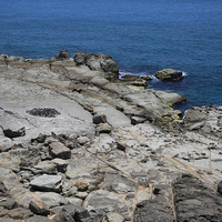 在海蝕平台上有許多大大小的岩塊散落在此處，這些石塊有些直徑超過1公尺，當漲潮或大浪發生時，這些石塊就會對海岸產生磨蝕作用，加速海岸的侵蝕。