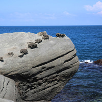 在海岸的前端，可以看到厚層的砂岩岩層突出於海面上，主要是砂岩下方的岩石不斷受到海水的侵蝕作用向海岸後退，另外也可能是這個砂岩下方的岩層以頁岩為主，相對容易受到海水的侵蝕。