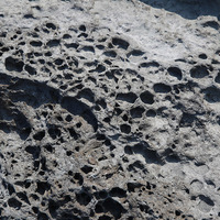 在鼻頭角的海岸常可看到岩石表面呈現孔洞的構造，這些蜂窩岩孔洞的產生，除了侵蝕作用外，也會受到鹽結晶的生長與海水的重複乾濕作用產生的化學、物理風化，使得孔洞持續擴大。
