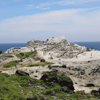 石梯坪的凝灰岩層因受擠壓、抬升而傾斜，形成單面山的地形景觀，呈現照片中向海側較高，朝陸地傾斜的型態。步行其上，可感受到凝灰岩受差異侵蝕的現象。