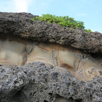 原本在海面下的珊瑚礁，受到菲律賓海板塊的擠壓被抬升至陸地，位於下方的砂岩層，由於受到海水不斷的磨蝕，形成光滑的表面。圖片上下的珊瑚礁生長於不同時期。