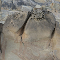 小野柳的砂岩受到差異侵蝕作用形成許多小孔洞。獨特的小地景具有一種線條之美。