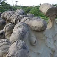砂岩有局部區域因礦物的聚集形成結核，形成深色團塊的型態於砂岩的上方，有些外觀似老薑，稱為薑石。