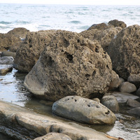 上覆在砂岩的珊瑚礁，受到海水的侵蝕作用，部分失去支撐滾落在海岸邊，形成大型的珊瑚礁岩塊。