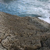 小野柳的海岸可以看到許多蜂窩岩，有些成因是砂岩表層受到貝殼，如藤壺分泌的有機酸影響，形成凹洞，再受到溶蝕作用或鹽風化作用形成許多小孔洞。