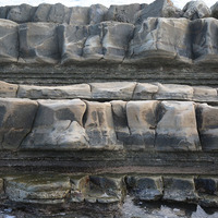 小野柳的岩層以砂岩層及泥質岩層互層為主，因泥質岩層受到侵蝕的速率較快，在差異侵蝕的作用下，呈現砂岩層凸出，泥質岩向內凹的型態。