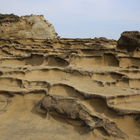 砂岩因受到差異侵蝕作用，在外觀上形成像窗格狀的型態，
稱為風化窗，照片中的風化窗由上而下呈現整齊的排列。