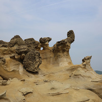 深澳岬的岩層受到差異侵蝕作用，在岩層上方形成不同型態
的蕈狀岩，底部的砂岩持續受到侵蝕變小，上方的結核則失
去支撐而掉落。