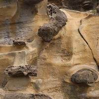 砂岩中的結核有些呈現圓形、有些是不規則的形狀，大小也
不盡相同，由於型態的不同，呈現蕈狀岩、薑石及地球石等
小地景，讓此區具有觀賞的價值。
