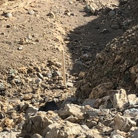 沙溝內大量的工程棄土已經破壞風吹沙原本的景觀，影響到風或河流搬運沙時的路徑以及運沙量，形成裸露沒有沙粒的沙溝。