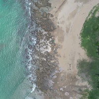 空拍崖下沙溝下方的沙灘、沿岸隆起的珊瑚礁以及沙丘植物。從不同角度看風吹沙地景，欣賞不一樣的景色，也可以看到海崖特性的轉換：植被－沙－珊瑚礁－海洋。