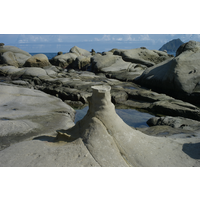 蕈狀岩上頸的結核不見了。由於海水持續侵蝕，使下頸愈來愈細，再由海水衝拍，最終上方結核撐不住而掉落。無形中增加了和平島地景的多樣性。