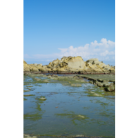 從照片中可明顯看見受風化及海水作用影響的岩石。有差異侵蝕後的結核，也可看見顏色變化之處正是潮線所在之高度。整體而言，岩層中富含的石灰岩質的結核，在海水侵蝕後便出露出來。