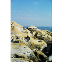 和平島公園展現地景多樣性，歷經差異風化與差異侵蝕的鬼斧神工，演育出風化窗、蜂窩岩，尤其鹽風化對於砂岩海岸的影響，再加上海水的侵蝕，形塑出坑洞般之樣貌。