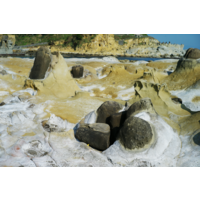 和平島差異侵蝕而形成的結核地形，是含有碳酸鈣較富集的岩塊，經過海水差異侵蝕後而凸出。可由此照片看出結核並非分均質分布於岩層中，也因此形成地景的多樣性。