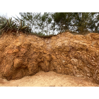 位於南山頭海岸的海崖。可看見玄武岩已經被風化得很嚴重。岩屑慢慢化育成紅土。剖面頂的紅土層並不厚，仍含有許多岩屑及少量有機質。