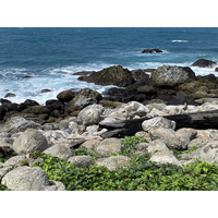 跳石海岸上的漂流木及一些海洋廢棄物，一直以來是海岸經
營管理必須面對的問題，除了影響視覺觀感，也會影響遊憩
品質，以及保育或設施維護。跳石海岸的巨礫也被海水滾磨
成圓形。