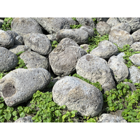 石英安山岩包覆輝石角閃安山岩、橄欖石灰石角閃安山岩、
砂岩及頁岩等，所形成之擄獲岩。在基隆嶼海岸，可看到這
些岩石受到海水侵蝕、滾磨，形成亞圓狀巨礫堆積，也說明
此處海水作用旺盛。