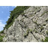 物理風化中的生物風化。基隆嶼處處可見峭壁節理中求生存
的植物，但在植物成長的過程中，也將岩石節理愈撐愈開。