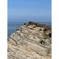 1841 水湳洞化石坪，因砂岩中富含鈣質化石而得名。此區出露的南港層砂岩，沉積年代約在中新世早期，岩層位態約北偏東10度、向東傾斜20度。