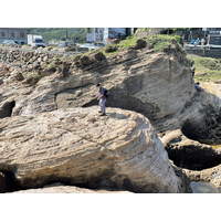 1843 南港層有許多海膽化石與生痕化石，也因為地層傾斜隆起，化石出露的部分相當完整且易於觀察。化石坪平台大小，可以照片中的人物為比例尺。然而攀爬其上，需要注意安全。
