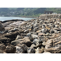 1848 海岸的巨礫。水湳洞附近海岸有許多巨大石塊，堆積於岩層上，岩性與形狀、大小都不同。岩石的來源有本地的落石，或從外地移入、保護道路堆疊的巨石，長期受到波浪拍大磨蝕，體積縮小之外表面也漸趨光滑。