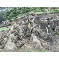 1886.
岩體上的節理依成因可分為：大地構造節理、解壓節理和冷卻節理。此張照片的節理解壓節理，在岩層隆起的過程中，由於周圍壓力降低，讓岩石得以有膨脹的空間而產生裂隙，也連帶影響差異風化與侵蝕。