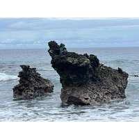 1903.
誠如照片1898及1899所提，顯礁（又稱海蝕柱）是由於海水沿著較軟弱的節理面侵蝕，而使部分岩體逐漸脫離海岬，形成獨立的礁石。