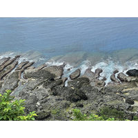 1905.
蘭嶼地處熱帶，又有溫暖的黑潮流經，加上沿岸海域乾淨，是珊瑚生長合適的環境條件。因此蘭嶼沿岸可見許多珊瑚礁分布，不論陸地上隆起的珊瑚礁化石，或者海面下的現生珊瑚礁，皆反映蘭嶼附近海域的環境特性。
