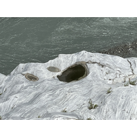 1950.
立霧溪的大理岩河成壺穴。河道攜帶的砂石不斷打磨在河床上的大理岩，最終磨出了數個圓形的孔穴。搭配上大理岩特有的紋路。顯現出山水畫的美感。