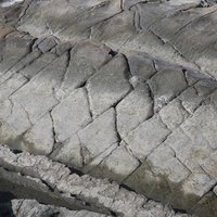 在海階上可以見到岩石受減壓、侵蝕、風化作用而有許多裂隙，這是由於富岡砂岩節理發達，海水沿著兩組節理持續侵蝕，終至形成的豆腐岩小地形。