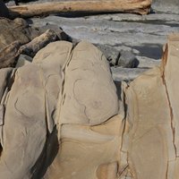 小野柳的砂岩節理，慢慢受侵蝕而使節理縫隙擴大，照片中也可看出由於氧化鐵離子沉澱在岩層節理面中，形成的紅褐色帶狀風化紋。